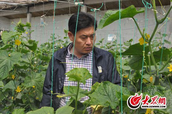 镇江富硒水果（江苏镇江水果）-硒宝网