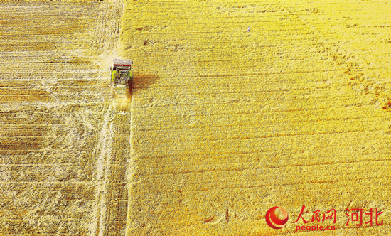 邯郸富硒水果(邯郸富硒农业科技公司)-硒宝网