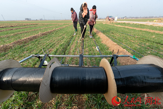 邯郸富硒水果(邯郸富硒农业科技公司)-硒宝网