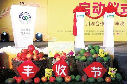 甘孜富硒水果(富硒水果一览表)-硒宝网