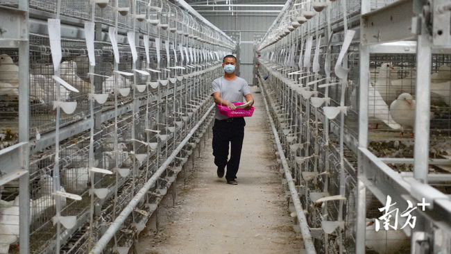 肇庆富硒水果（富硒水果前十名）-硒宝网