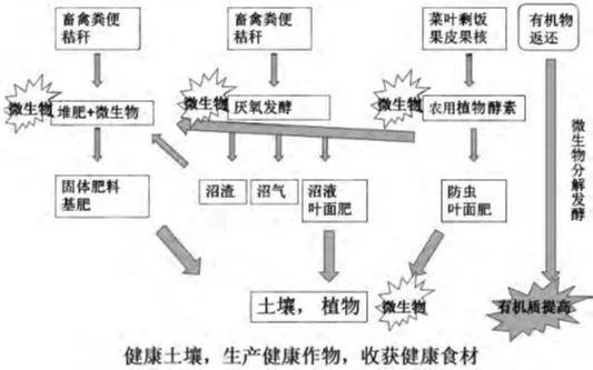 水果酵素富硒(富硒酵素片)-硒宝网