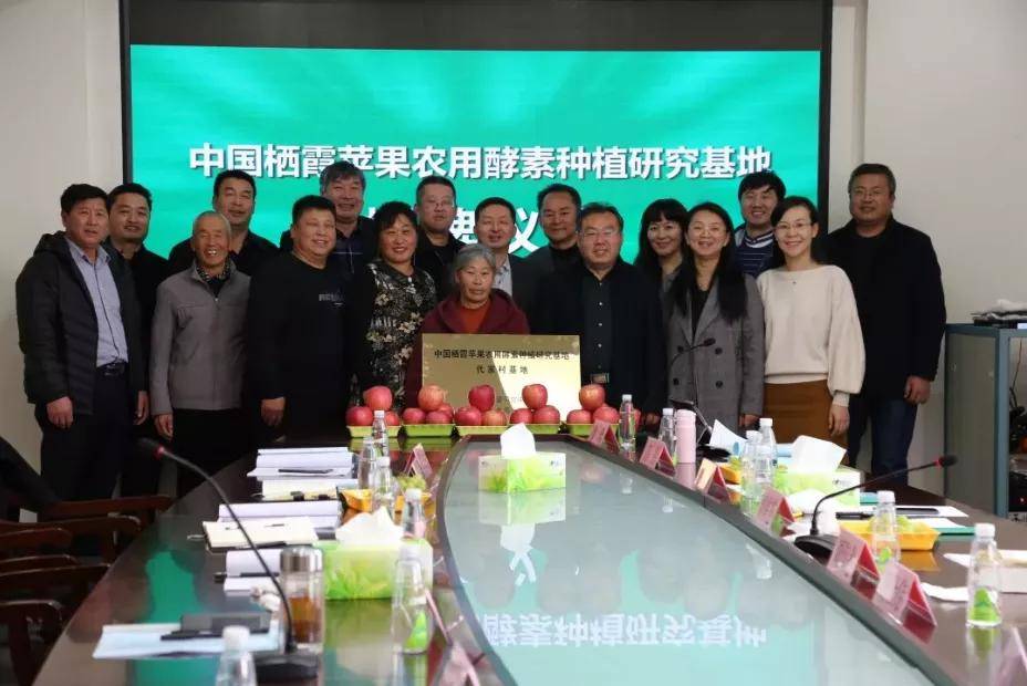 水果酵素富硒(富硒酵素片)-硒宝网