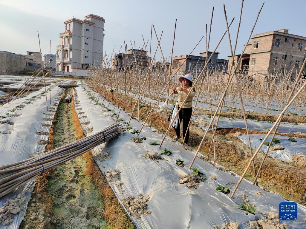 伊春富硒水果(伊犁富硒大米)-硒宝网