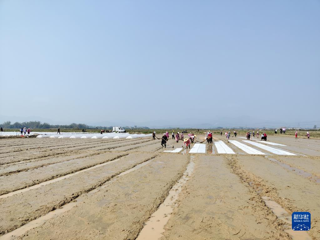 伊春富硒水果(伊犁富硒大米)-硒宝网