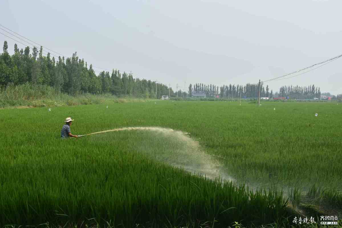 济宁富硒水果(济宁水果富硒产区)-硒宝网