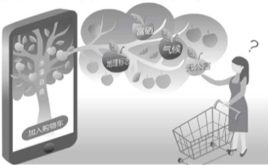 富硒水果认证(富硒食品认证)-硒宝网