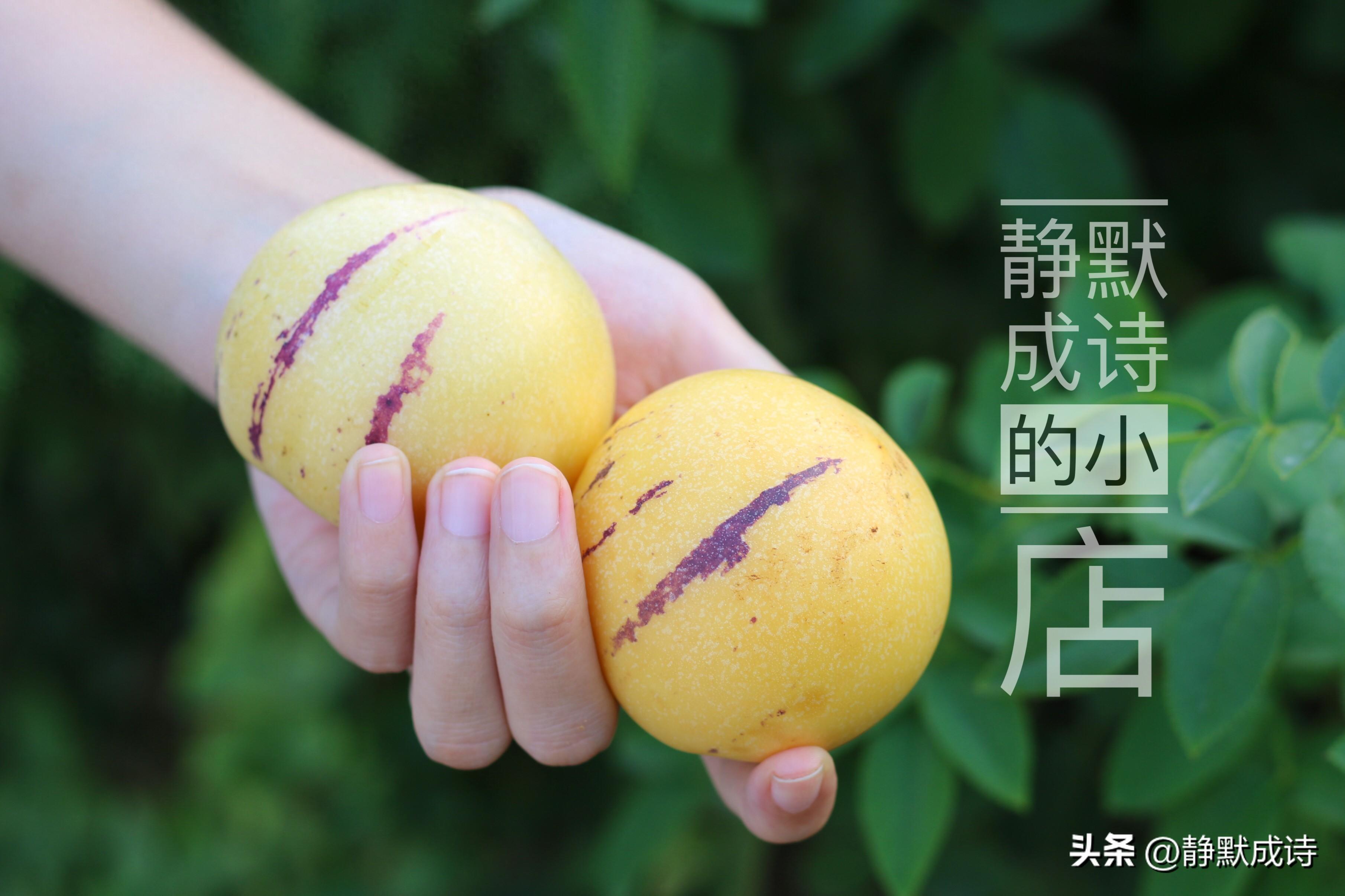 富硒系列水果(水果系列富硒有哪些)-硒宝网