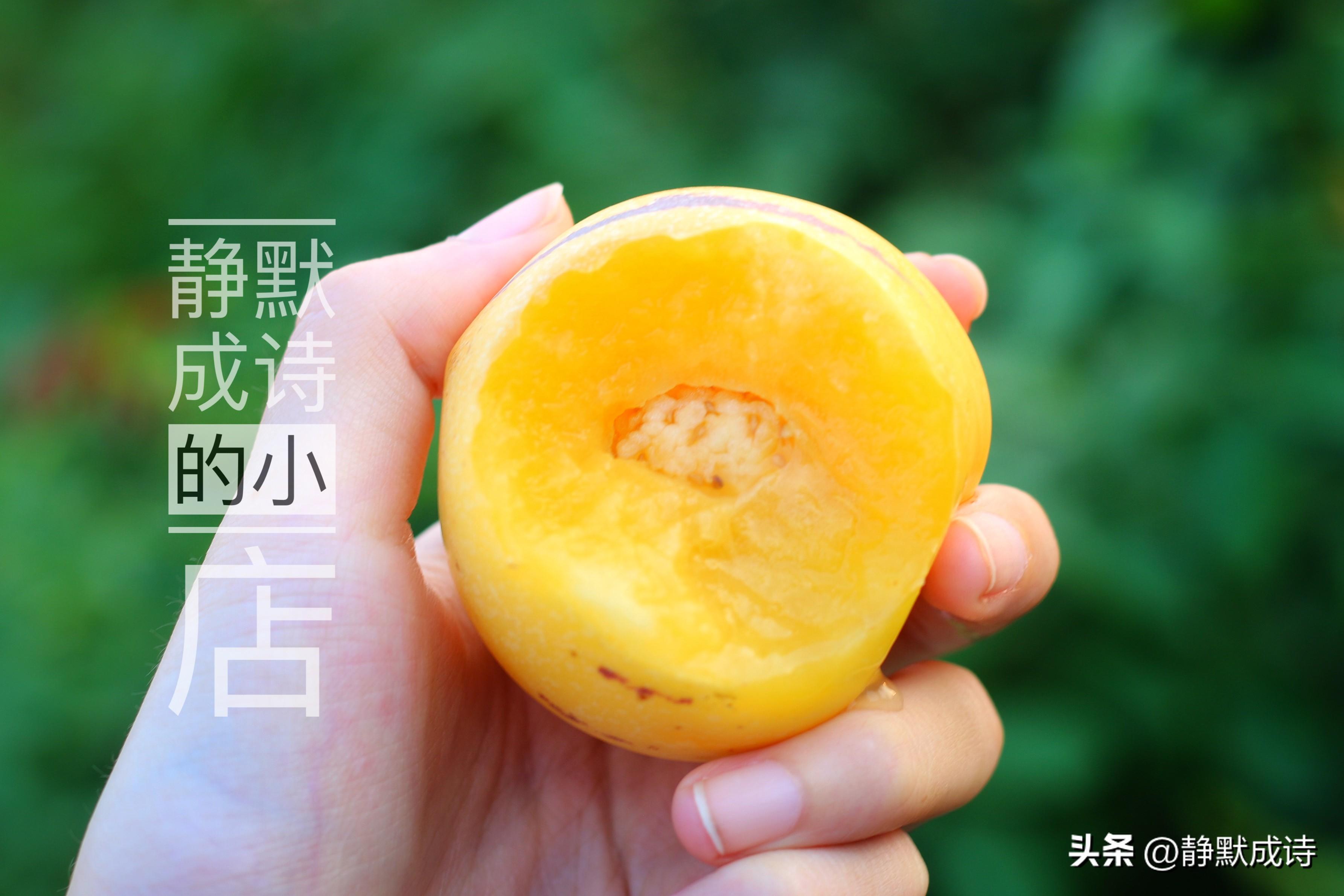 富硒系列水果(水果系列富硒有哪些)-硒宝网