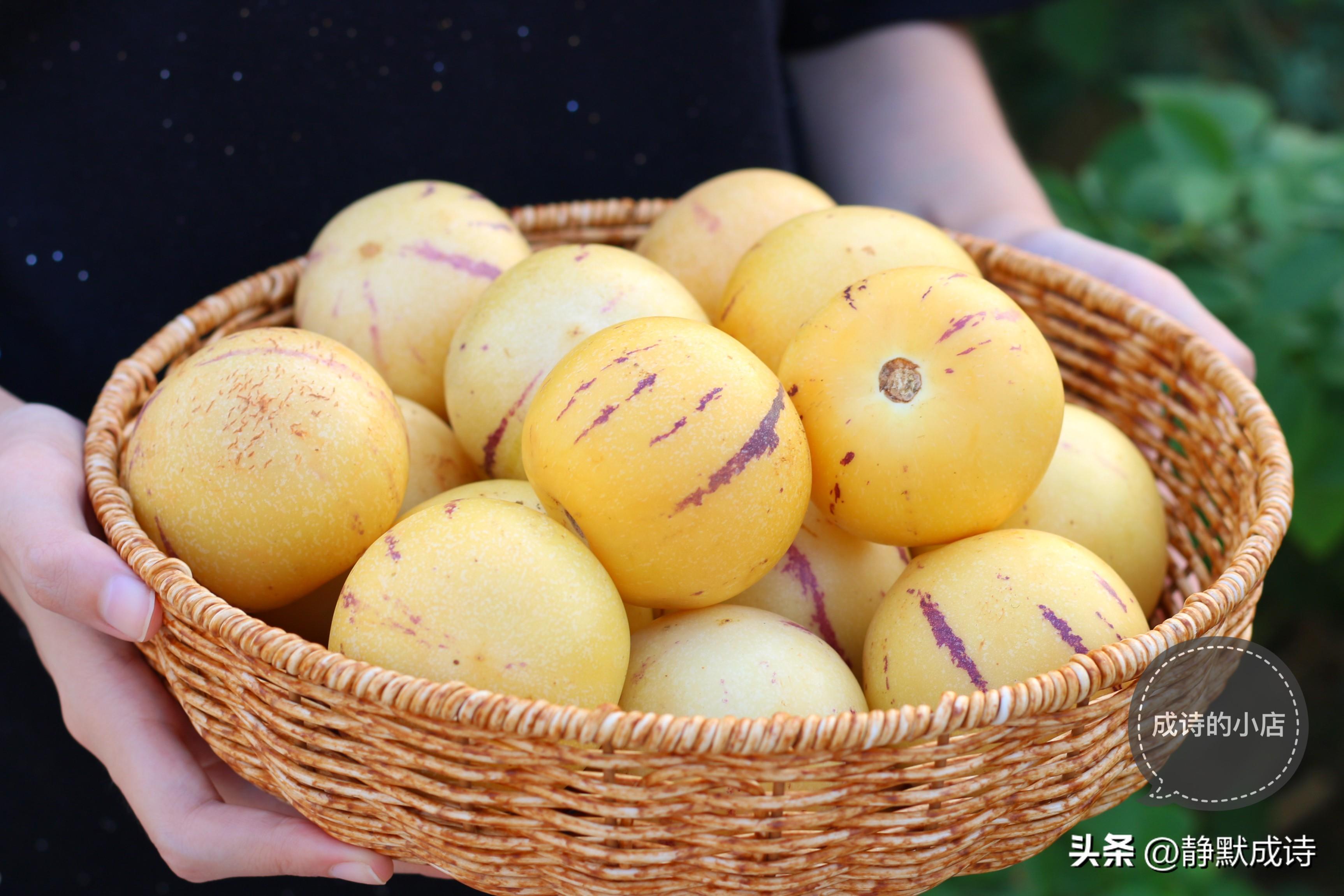 富硒系列水果(水果系列富硒有哪些)-硒宝网