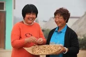 河北富硒水果(河北富硒土壤范围)-硒宝网