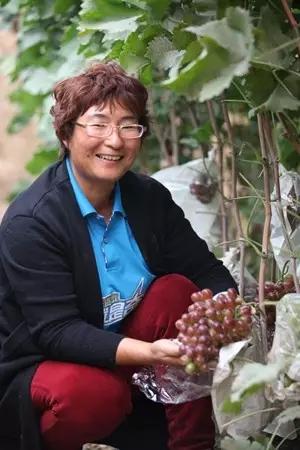 河北富硒水果(河北富硒土壤范围)-硒宝网