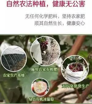 河北富硒水果(河北富硒土壤范围)-硒宝网