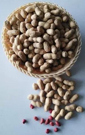 河北富硒水果(河北富硒土壤范围)-硒宝网