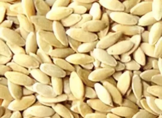 黄瓜籽粉补钙效果好吗(黄瓜籽粉补钙好还是钙片好)-硒宝网