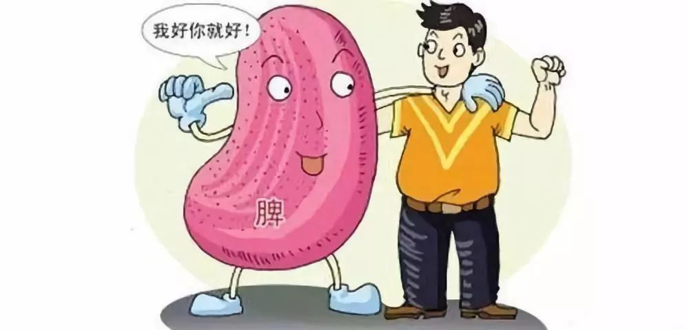 黄瓜籽粉补钙效果好吗(黄瓜籽粉补钙好还是钙片好)-硒宝网