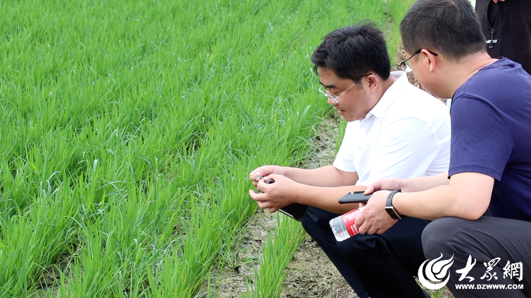 济宁富硒水果(山东富硒水)-硒宝网