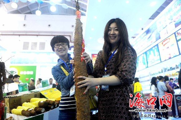 宁都富硒水果（于都富硒蔬菜）-硒宝网