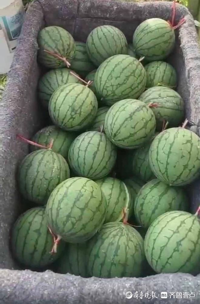 曲靖富硒水果(富硒水果一览表)-硒宝网