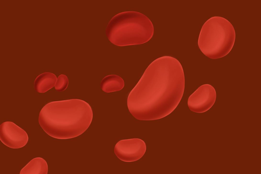 贫血是补铁吗(贫血补铁是什么意思)-硒宝网