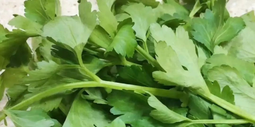 猪肉补铁吗(猪肉补铁补血吗)-硒宝网