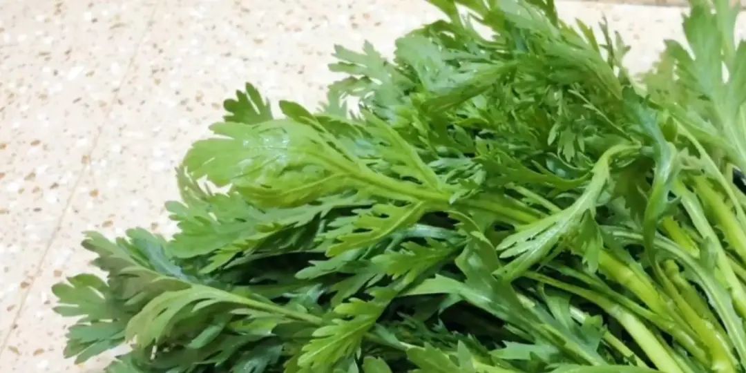 猪肉补铁吗(猪肉补铁补血吗)-硒宝网