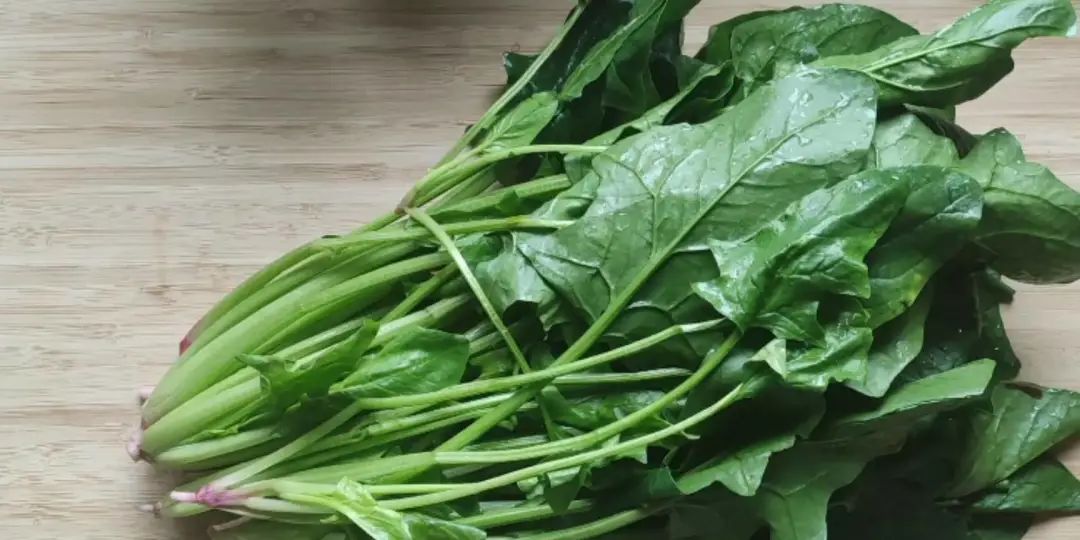 猪肉补铁吗(猪肉补铁补血吗)-硒宝网