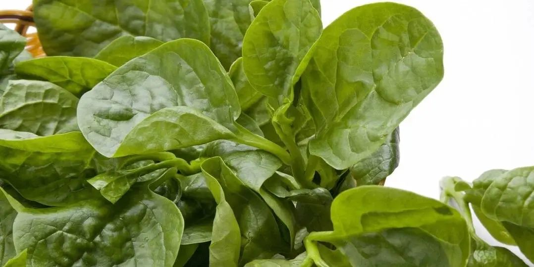 猪肉补铁吗(猪肉补铁补血吗)-硒宝网