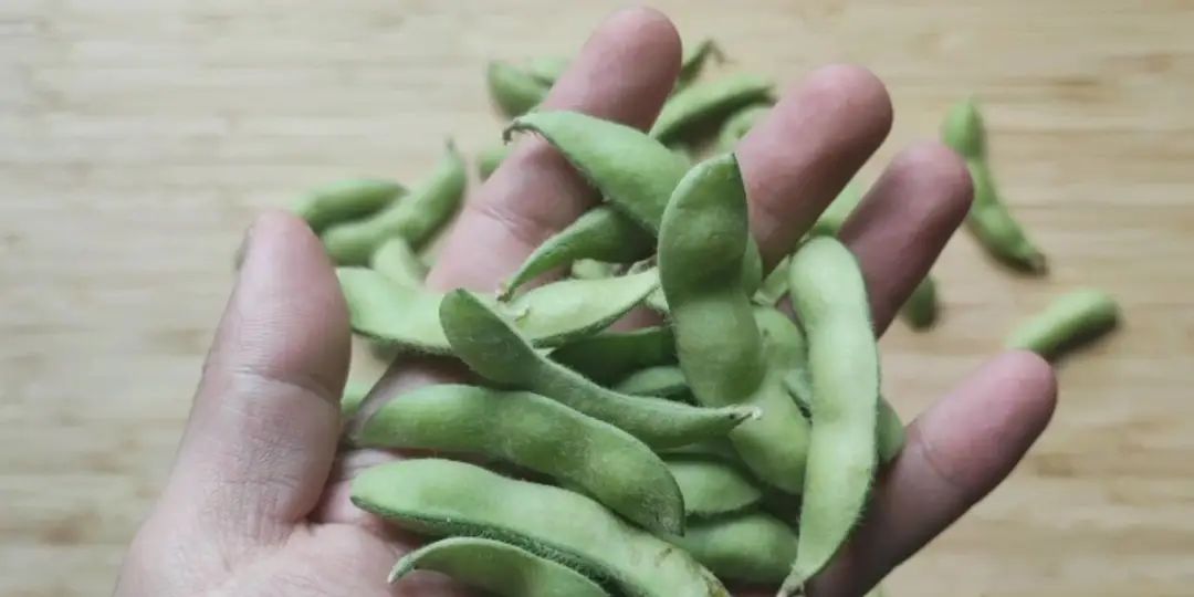 猪肉补铁吗(猪肉补铁补血吗)-硒宝网