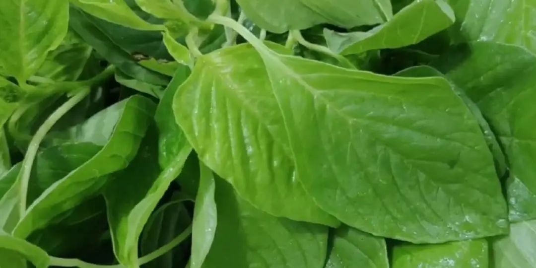 猪肉补铁吗(猪肉补铁补血吗)-硒宝网