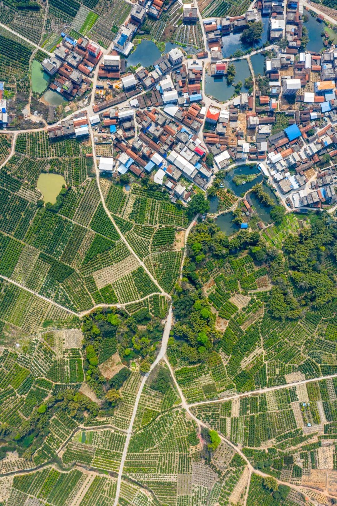 象州富硒水果（硒水果）-硒宝网