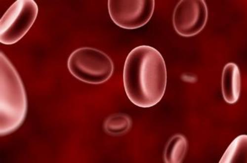 用铁锅做饭可以补铁吗（做饭铁锅补铁用可以吗视频）-硒宝网