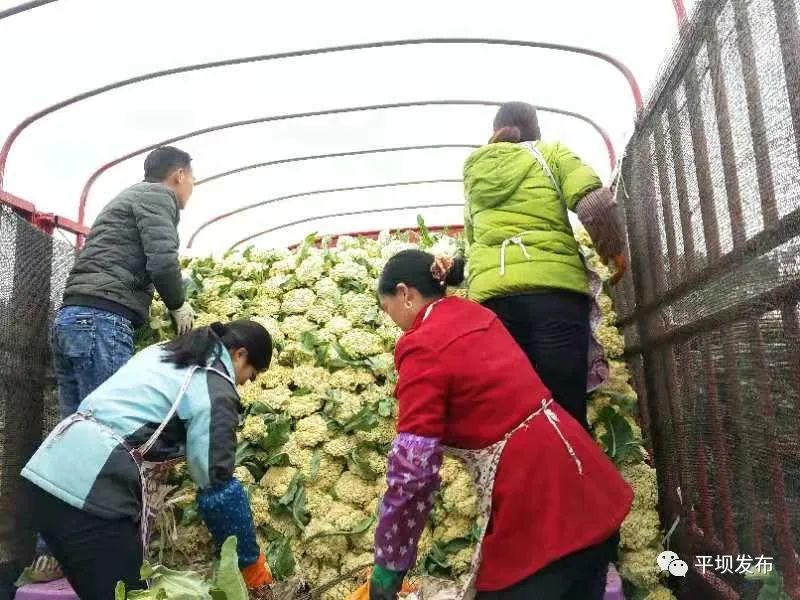 福建富硒水果（福建水果富硒产地）-硒宝网