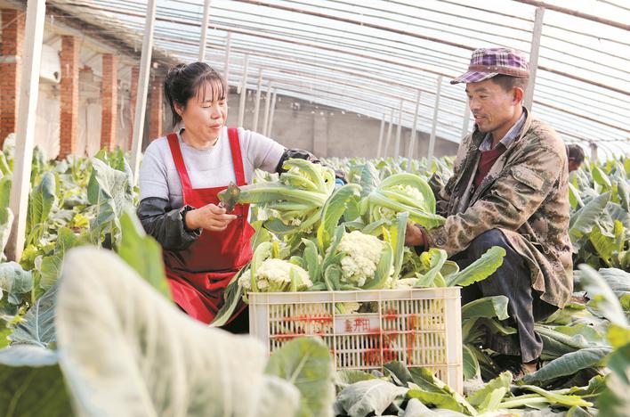 福建富硒水果（福建水果富硒产地）-硒宝网
