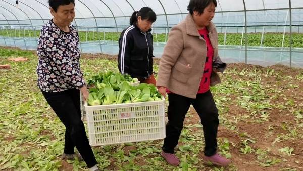 福建富硒水果（福建水果富硒产地）-硒宝网