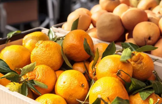 身体缺钠吃什么食物补（缺钠吃啥补）-硒宝网