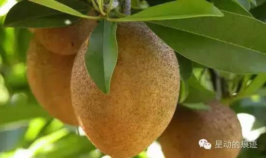 文昌富硒水果（文昌水果富硒产地）-硒宝网