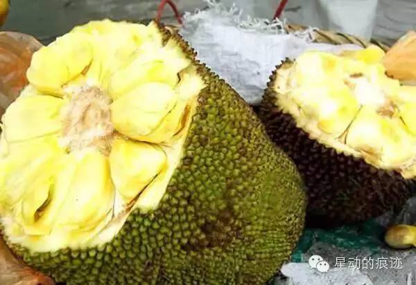 文昌富硒水果（文昌水果富硒产地）-硒宝网