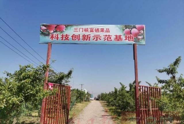 富硒水果管理（水果富硒管理办法）-硒宝网