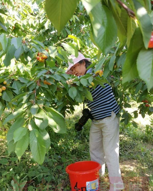 富硒水果管理（水果富硒管理办法）-硒宝网