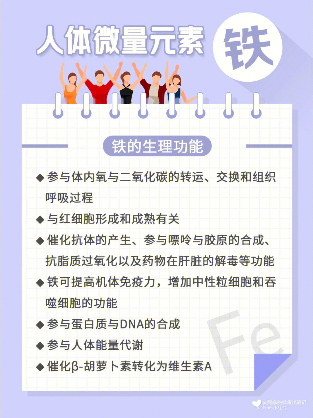 猪肉补铁吗(猪肉补铁羊肉补气)-硒宝网