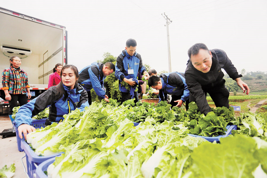 焦作富硒水果(富硒果蔬)-硒宝网