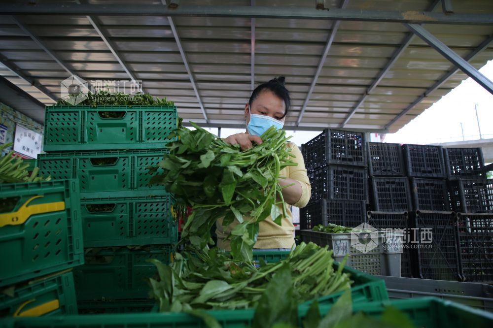 焦作富硒水果(富硒果蔬)-硒宝网