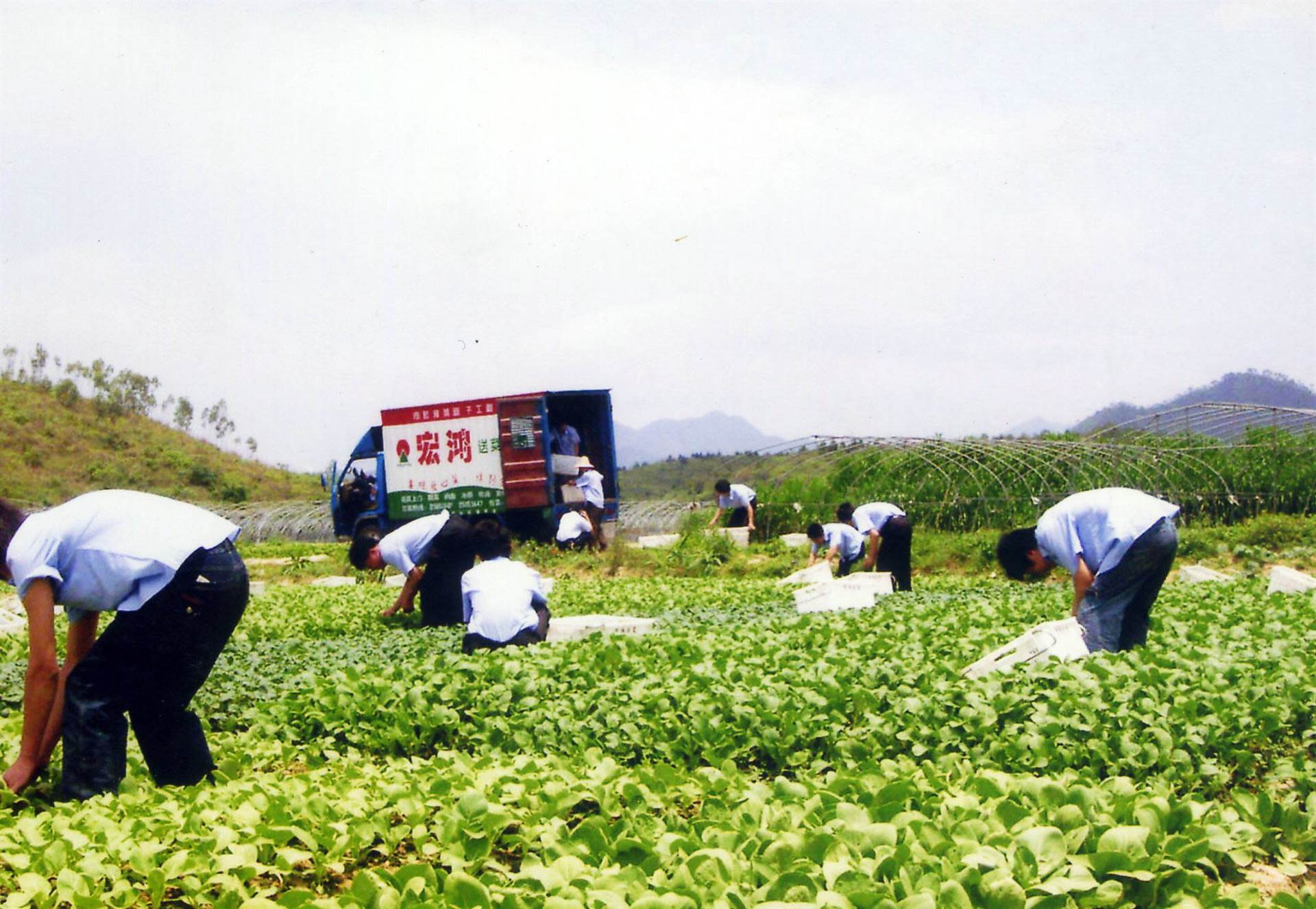 焦作富硒水果(富硒果蔬)-硒宝网