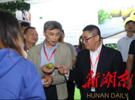 湘潭富硒水果(湘潭采摘水果基地)-硒宝网