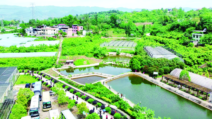 上虞富硒水果(富硒大米真的富硒吗)-硒宝网