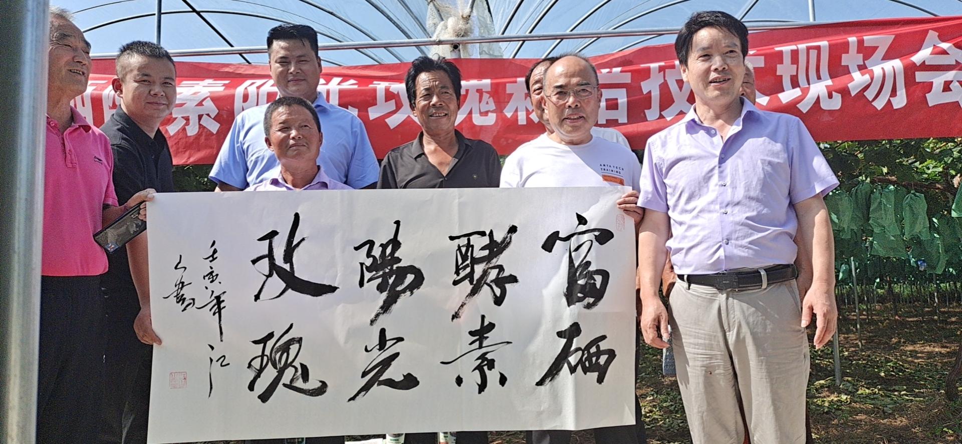 富硒葡萄水果(葡萄富硒含量标准)-硒宝网