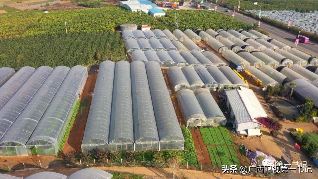 富硒水果玉米（玉米水果富硒吗）-硒宝网