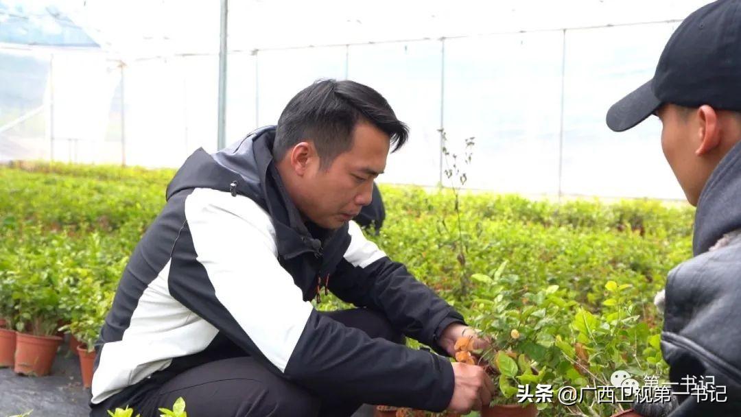 富硒水果玉米（玉米水果富硒吗）-硒宝网