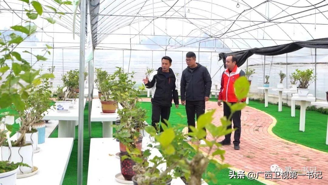 富硒水果玉米（玉米水果富硒吗）-硒宝网